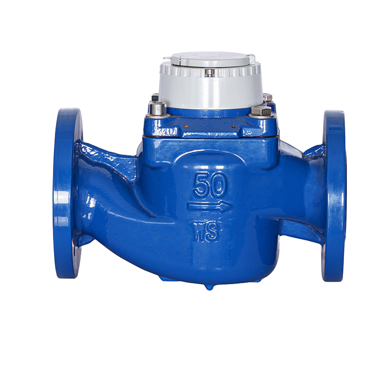 WS-DN40-DN200 উচ্চ-নির্ভুল উল্লম্ব সর্পিল উইং বিচ্ছিন্নযোগ্য জল মিটার