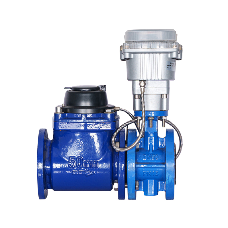 WPH DN50-DN200 অনুভূমিক বিচ্ছিন্নযোগ্য স্ক্রু উইং ভালভ-নিয়ন্ত্রিত জল মিটার (স্ট্যাকড ভালভ সহ)
