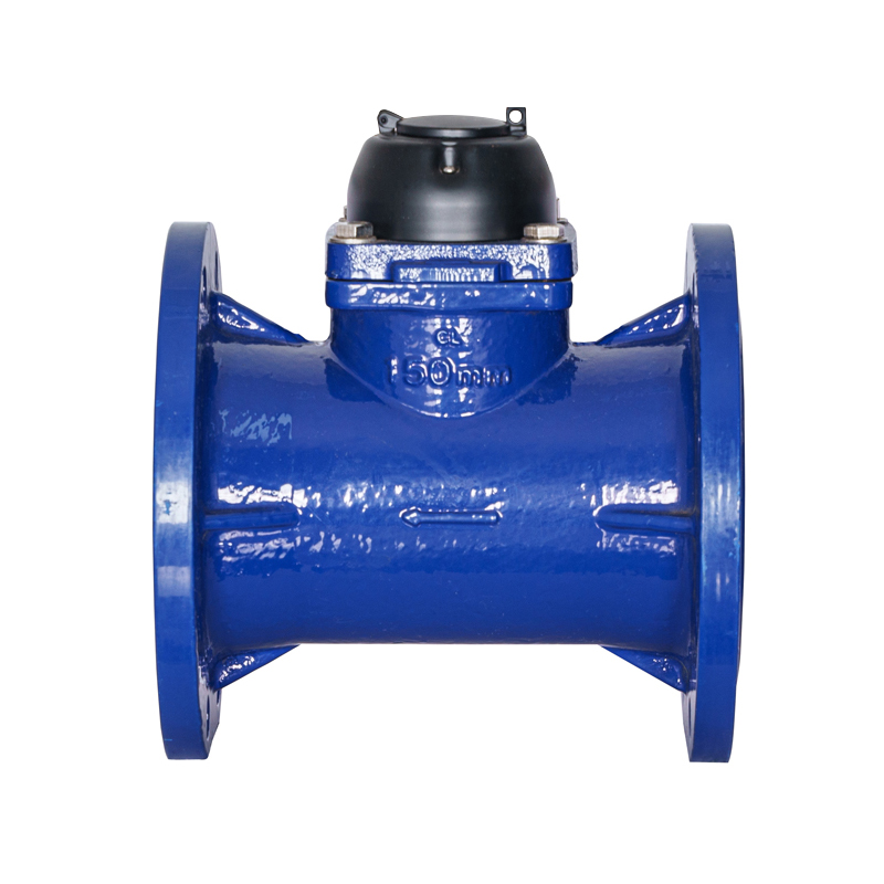 WI-DN50-DN200 ওয়াটার কিউব ইরিগেশন ওয়াটার মিটার