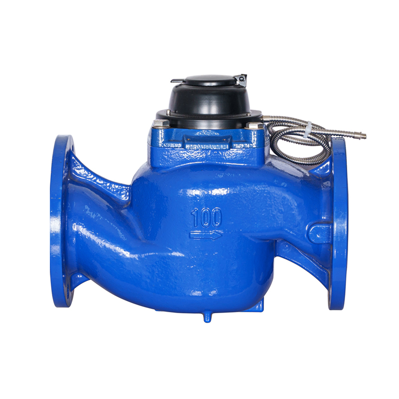 WS-DN40-DN200 উচ্চ-নির্ভুল উল্লম্ব স্ক্রু উইং ডিটাচেবল ফটোইলেকট্রিক ডাইরেক্ট-রিডিং ওয়াটার মিটার