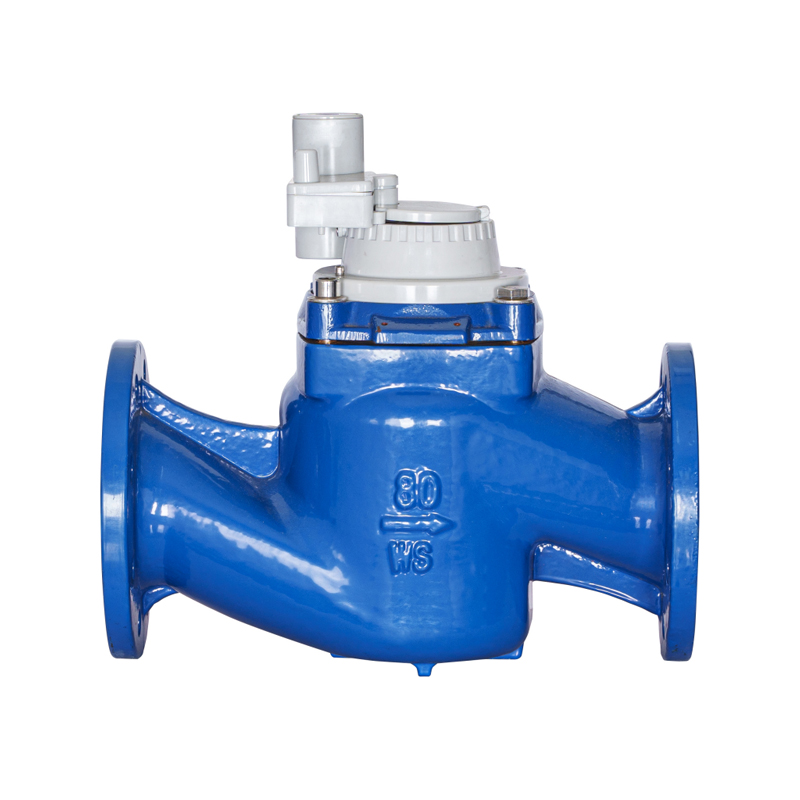 WS-DN40-DN200 উচ্চ-নির্ভুল উল্লম্ব স্ক্রু উইং বিচ্ছিন্নযোগ্য নন-ম্যাগনেটিক ইন্টিগ্রেটেড ওয়াটার মিটার