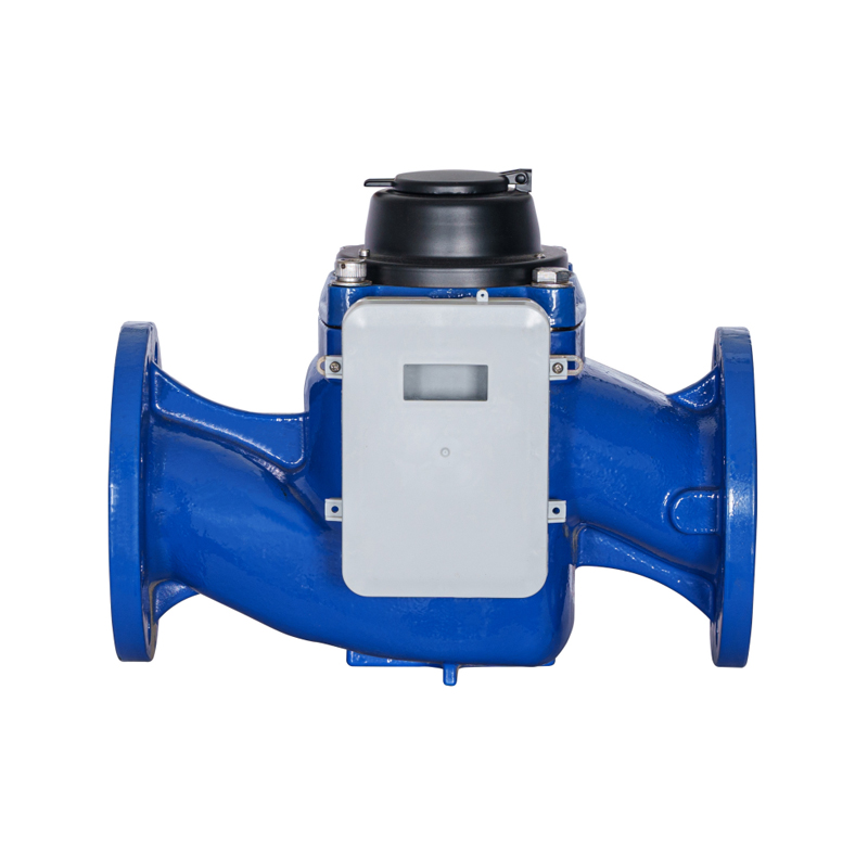 WS-DN40-DN200 উচ্চ-নির্ভুল উল্লম্ব স্ক্রু উইং ডিটাচেবল এনবি ওয়াটার মিটার