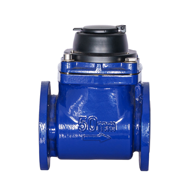 WPH DN50-DN200 অনুভূমিক বিচ্ছিন্নযোগ্য সর্পিল উইং ওয়াটার মিটার