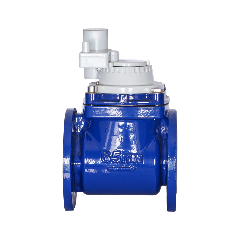WPH DN50-DN200 অনুভূমিক বিচ্ছিন্নযোগ্য স্ক্রু উইং নন-ম্যাগনেটিক ইন্টিগ্রেটেড ওয়াটার মিটার