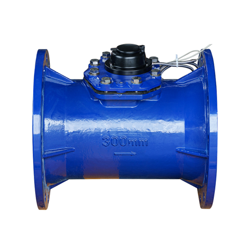 LXLC-DN50-DN500 অনুভূমিক বিচ্ছিন্নযোগ্য জল মিটার